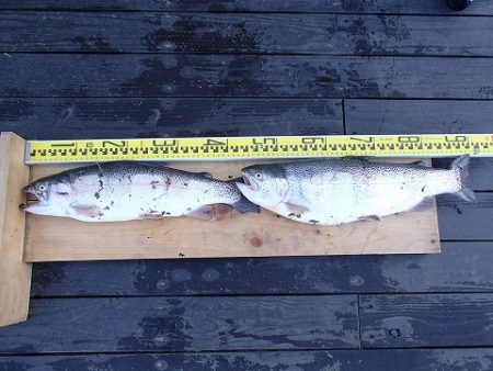 志高湖フィッシング 釣果