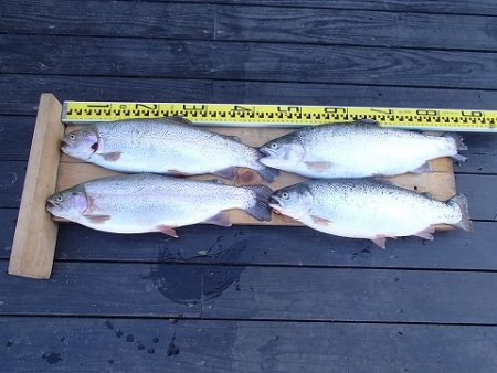 志高湖フィッシング 釣果