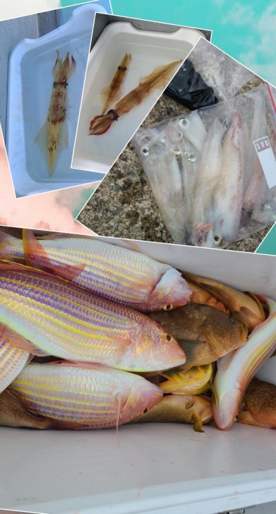 天童丸 釣果