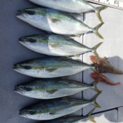 磯部釣船 直栄丸 釣果