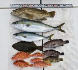 さぶろう丸 釣果