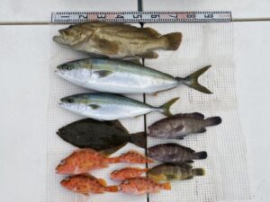 さぶろう丸 釣果