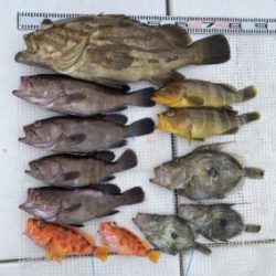 さぶろう丸 釣果