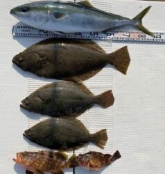 さぶろう丸 釣果