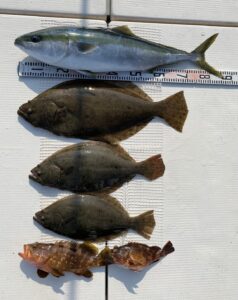 さぶろう丸 釣果