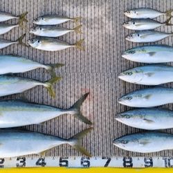 火遠理丸(ほおりまる) 釣果