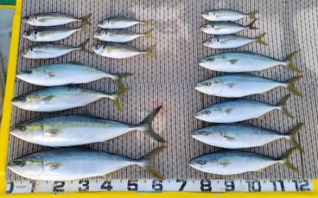 火遠理丸(ほおりまる) 釣果