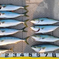 火遠理丸(ほおりまる) 釣果