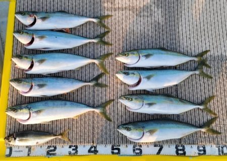 火遠理丸(ほおりまる) 釣果