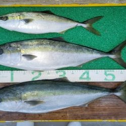 火遠理丸(ほおりまる) 釣果