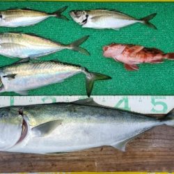 火遠理丸(ほおりまる) 釣果