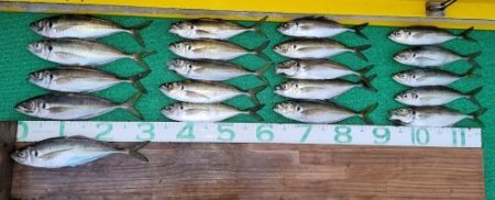 火遠理丸(ほおりまる) 釣果