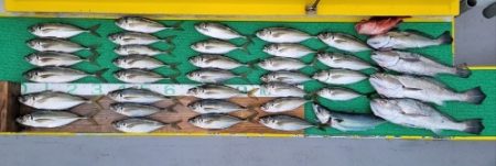 火遠理丸（ほおりまる） 釣果