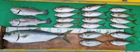 火遠理丸(ほおりまる) 釣果