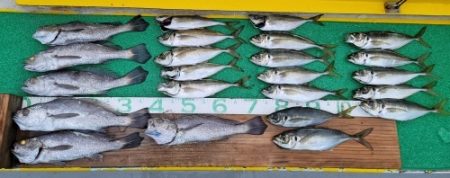 火遠理丸(ほおりまる) 釣果