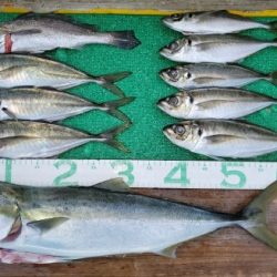 火遠理丸(ほおりまる) 釣果