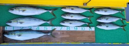 火遠理丸（ほおりまる） 釣果