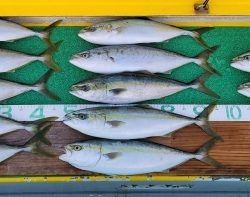 火遠理丸(ほおりまる) 釣果