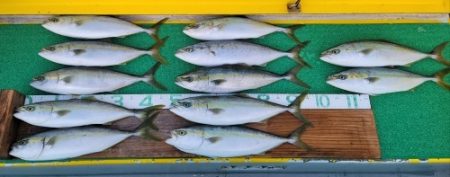 火遠理丸（ほおりまる） 釣果