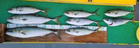 火遠理丸(ほおりまる) 釣果