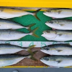 火遠理丸(ほおりまる) 釣果