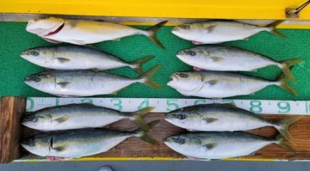 火遠理丸(ほおりまる) 釣果