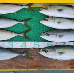 火遠理丸(ほおりまる) 釣果