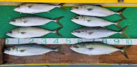 火遠理丸(ほおりまる) 釣果