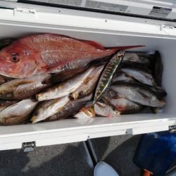 第二大福丸 釣果