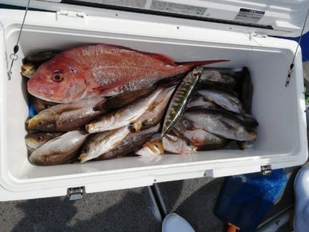 第二大福丸 釣果