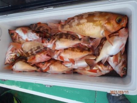 第二むつ漁丸 釣果