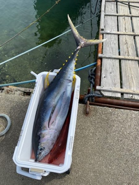 へいみつ丸 釣果