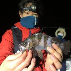 Magic(マジック) 釣果