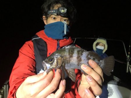 Magic(マジック) 釣果