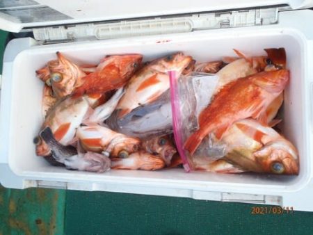 第二むつ漁丸 釣果