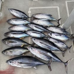 へいみつ丸 釣果