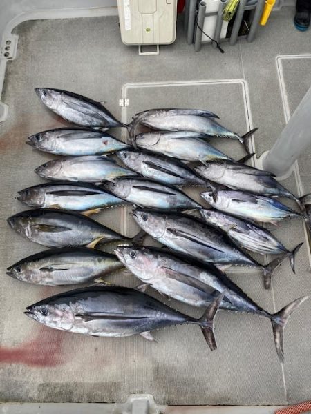 へいみつ丸 釣果