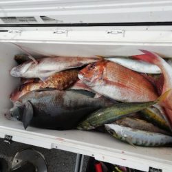 第二大福丸 釣果