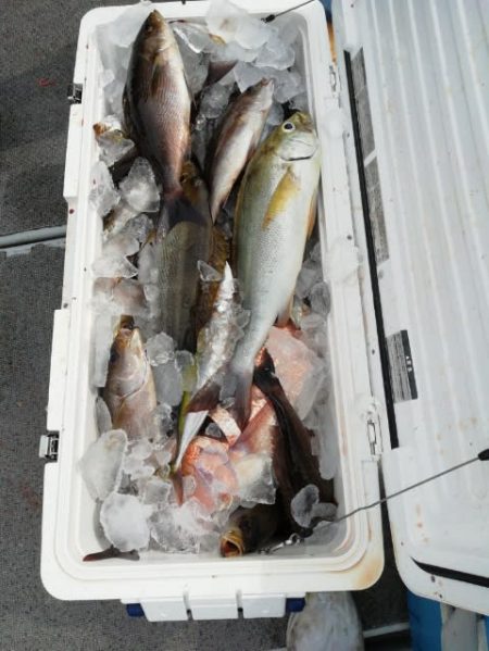 第二大福丸 釣果