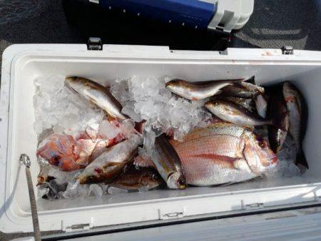 第二大福丸 釣果