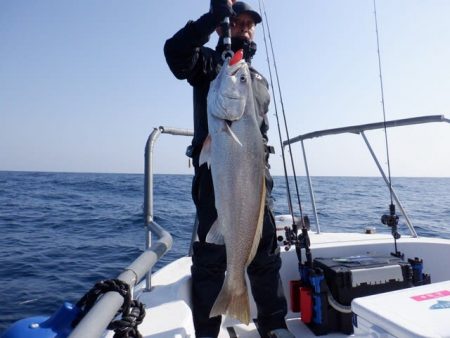 開進丸 釣果