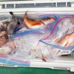 第二むつ漁丸 釣果