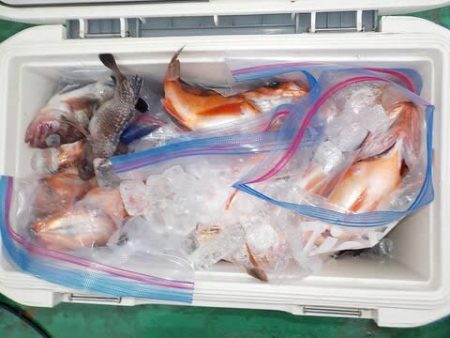 第二むつ漁丸 釣果