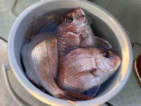 遊漁船 セトマリン 釣果