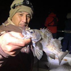 Magic(マジック) 釣果