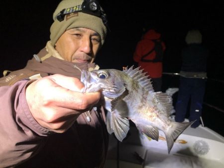 Magic(マジック) 釣果