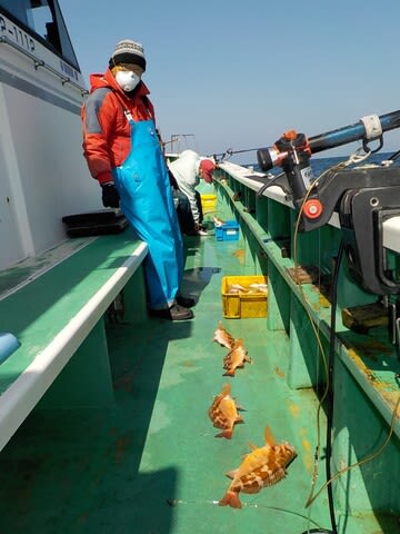 第二むつ漁丸 釣果