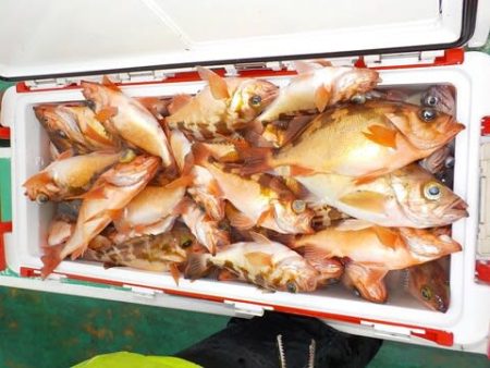 第二むつ漁丸 釣果