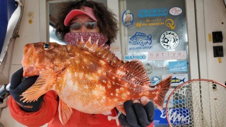 遊漁船　ニライカナイ 釣果