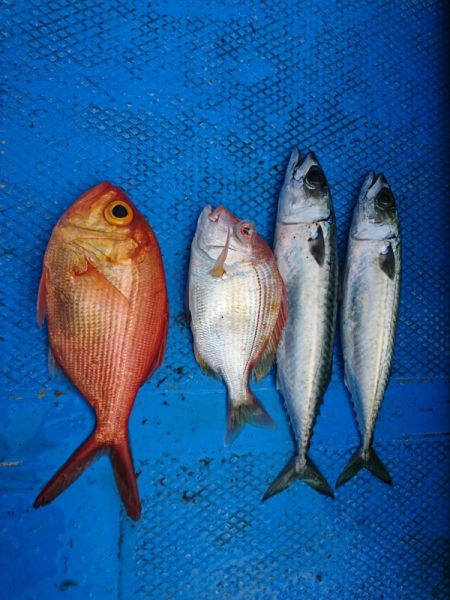 正幸丸 釣果